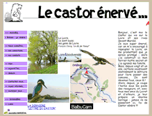 Tablet Screenshot of le-castor-enerve.fr